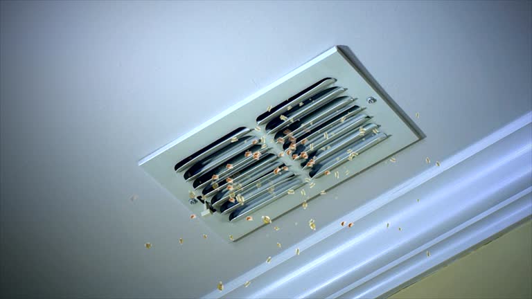 Best Ductwork Cleaning Services  in Rossmoor, NJ